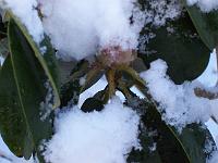 230105kodak_006