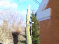 240105kodak_007