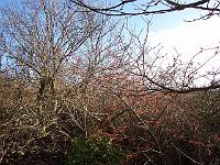 310105kodak_001