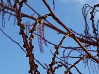 310105kodak_040