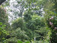 copy_of_010704_035