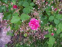 16-06-0kodak_010