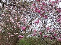 02-05kodak_152