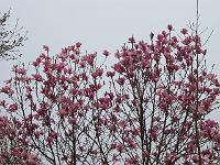 02-05kodak_155