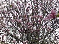 03-05-05kodak_001