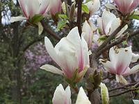 03-05-05kodak_036