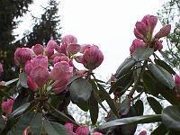 04-05-05kodak_055