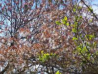 08-05-05kodak_174
