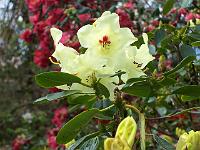 08-05-05kodak_199