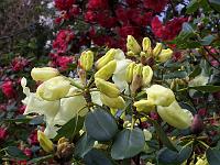 08-05-05kodak_202