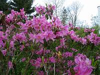 08-05-05kodak_207