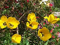 08-05-05kodak_221
