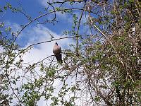 08-05-05kodak_222