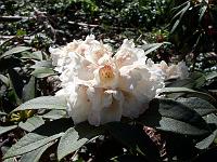 08-05-05kodak_242