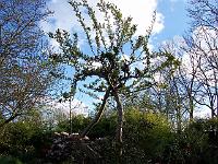 08-05-05kodak_259