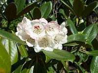 11-05-05kodak_180