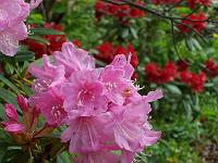 12-05-05kodak_047