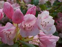 12-05-05kodak_049