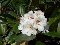 12-05-05kodak_075