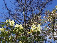 12-05-05kodak_095