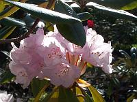 12-05-05kodak_129