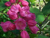 12-05-05kodak_161