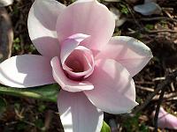 12-05-05kodak_165