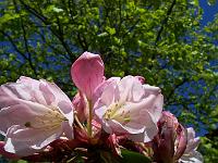 13-05-05kodak_054