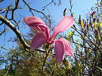 13-05-05kodak_125