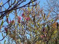 13-05-05kodak_128