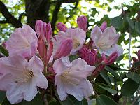 14-05-05kodak_015