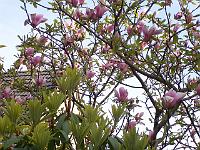 14-05-05kodak_050