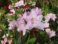 14-05-05kodak_069