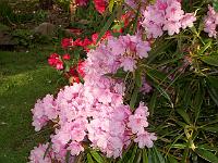 14-05-05kodak_072