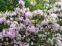 15-05-05kodak_004