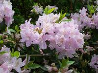15-05-05kodak_006