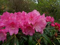 16-05-05kodak_093