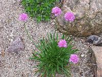 16-05-05kodak_113