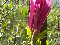 17-05-05kodak_278