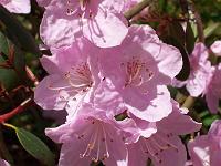 18-05-05kodak_020