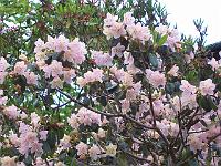 18-05-05kodak_176