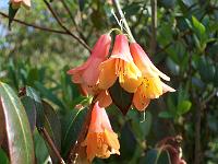 18-05-05kodak_197