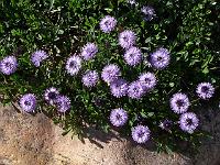 18-05-05kodak_240
