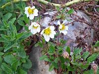 18-05-05kodak_307