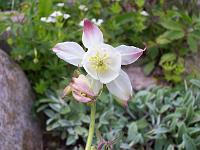 18-05-05kodak_316