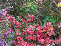 19-05-05kodak_042