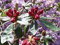 19-05-05kodak_083