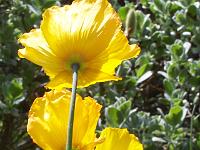 19-05-05kodak_090