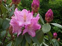19-05-05kodak_129