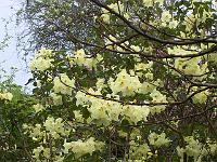 19-05-05kodak_142